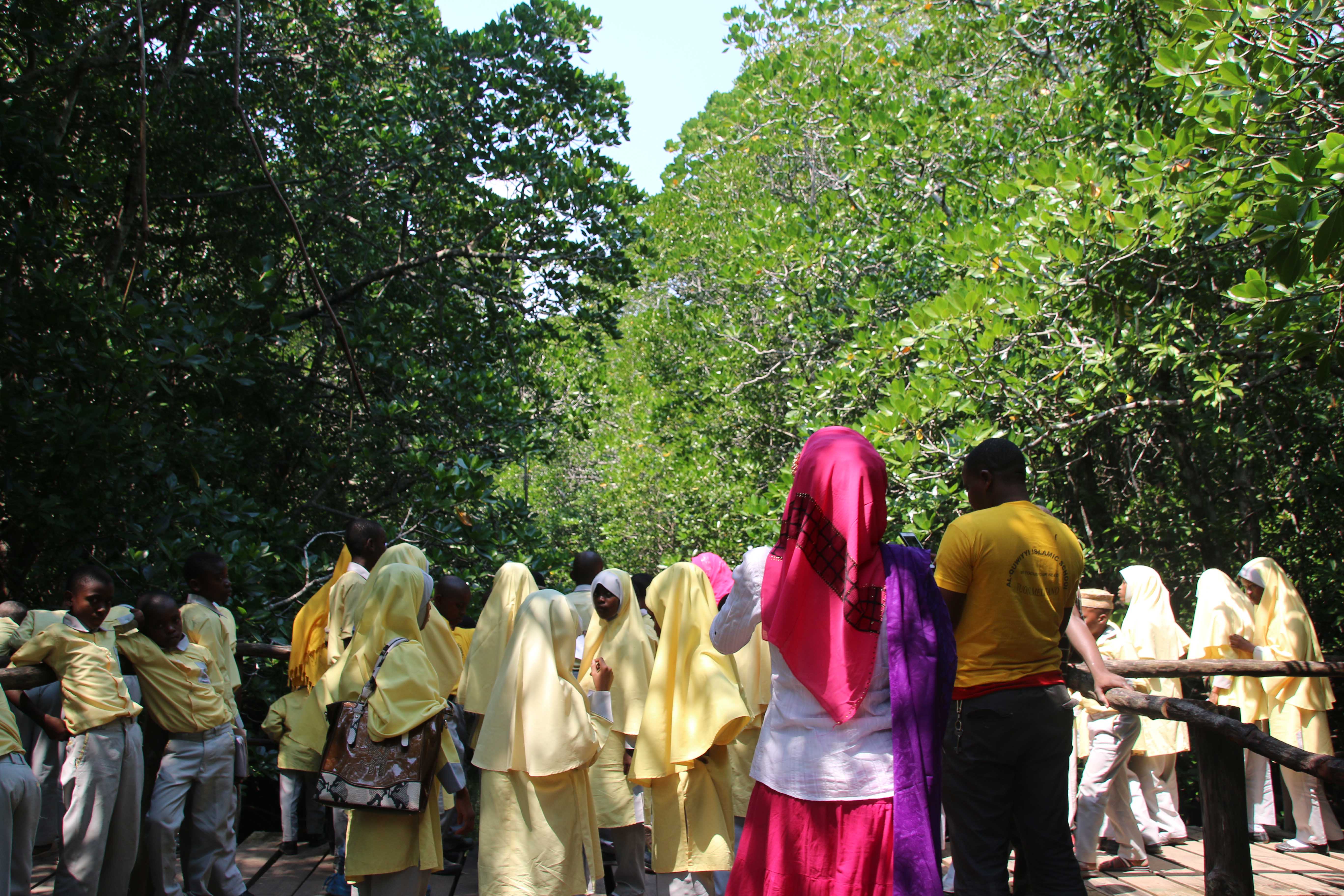 Education Trip